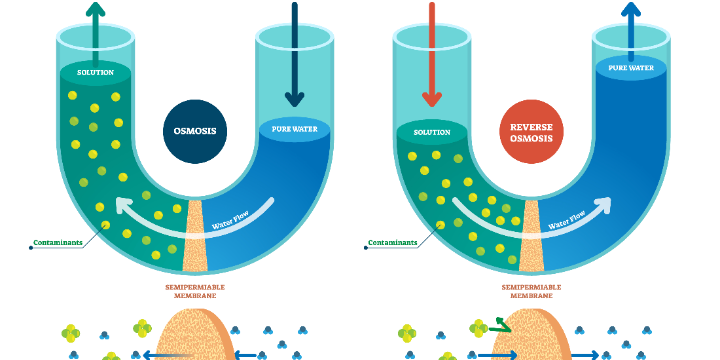 How does reverse osmosis work? 